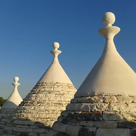 Trulli Spinosa *